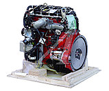 Двигатель Cummins 2.8, ISF2.8S3129Т-003, фото 4