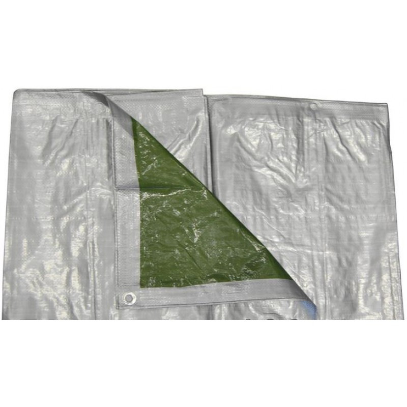 Пленка - 4х6м серебристо-зеленая 120г/м2 (BICO4x6)