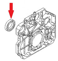 7420412286 Сальник коленвала задний