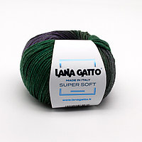 Пряжа Lana Gatto Super Soft цвет 8505 секционного крашения