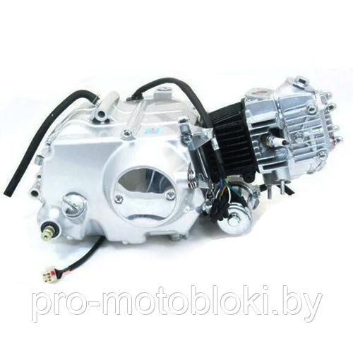 Двигатель для мопеда 1P52FMH мм3 AXL 003-00 - фото 1 - id-p169702108