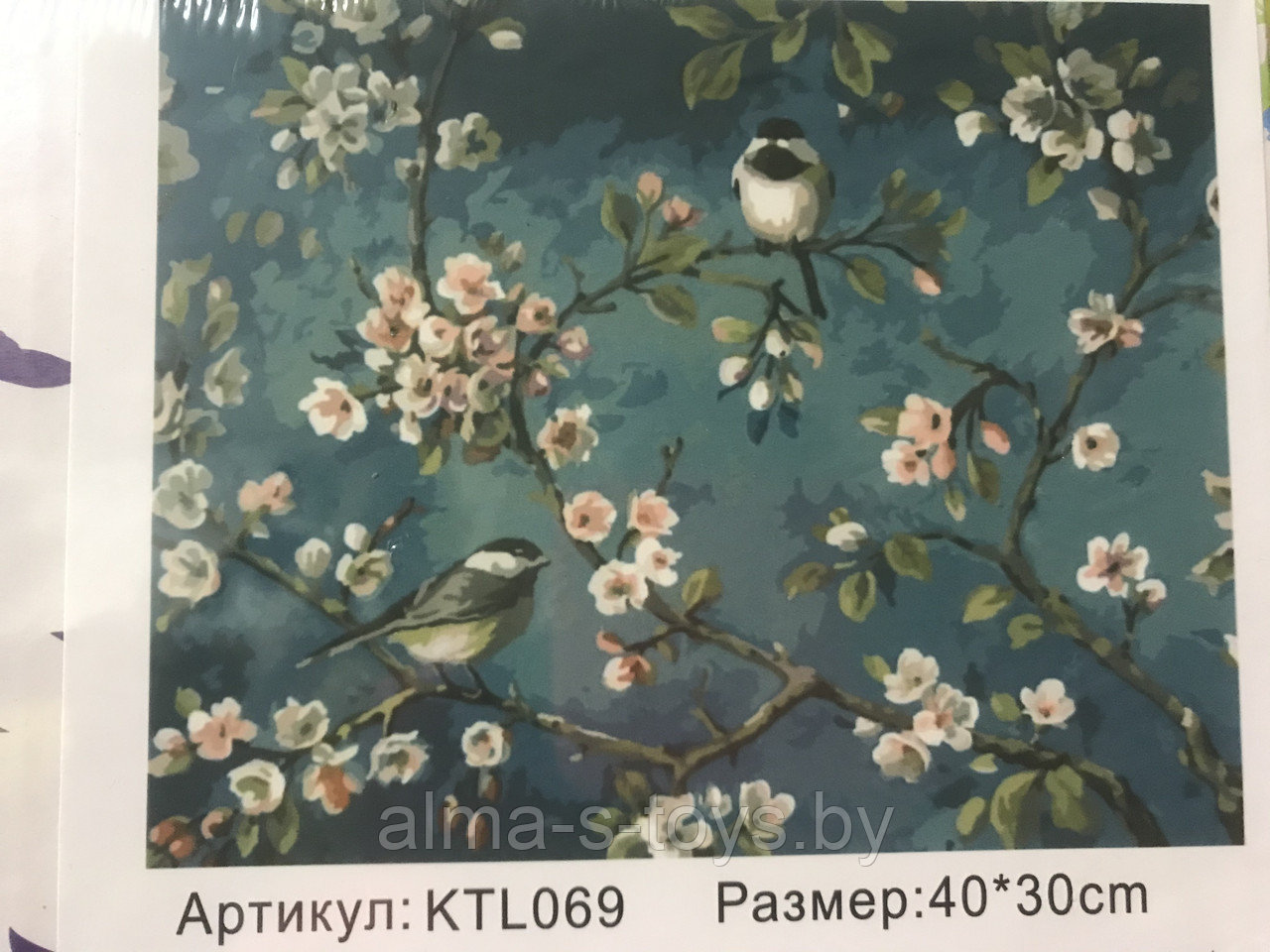 Рисование по номерам 30*40 птички
