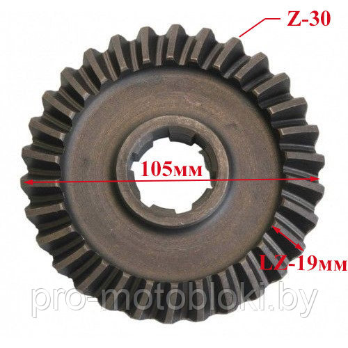Шестерня редуктора нижняя 6-8лс Z-30