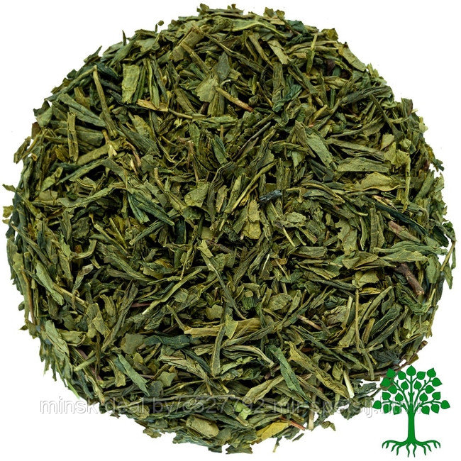 Чай Сенча зеленый премиум Китай - фото 3 - id-p169746470