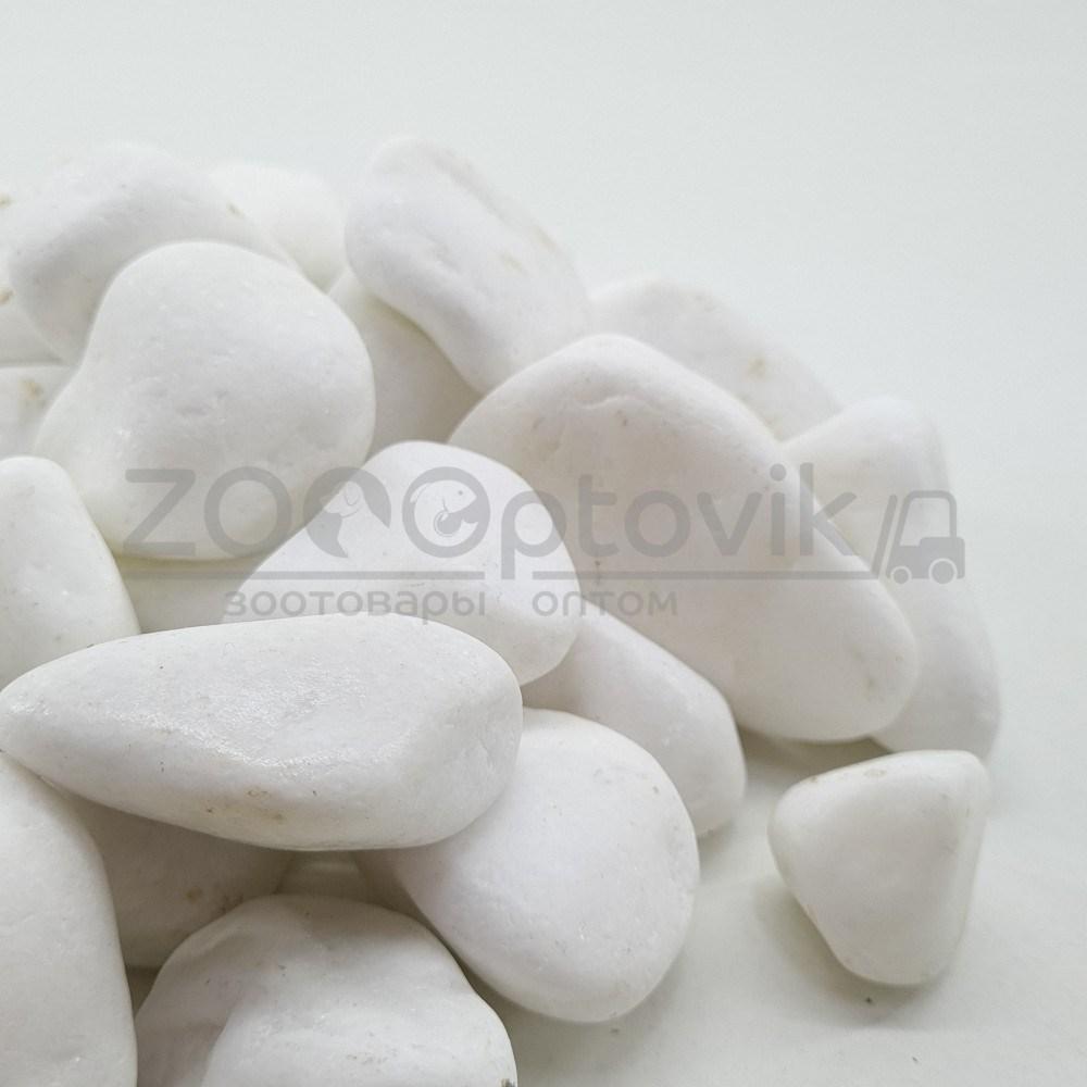 ZooAqua Галька белая Танос 3-6 см для аквариума и террариума - фото 1 - id-p169749062