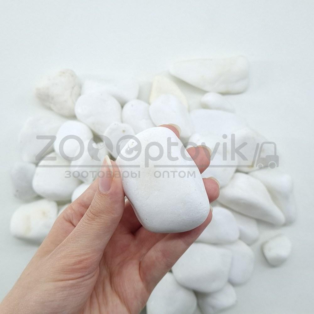 ZooAqua Галька белая Танос 3-6 см для аквариума и террариума - фото 4 - id-p169749062