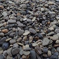 Галька морская черное море 0.5-1.3 см. для террариума и аквариума