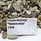 ZooAqua Галька морская черное море 1-3 см. для террариума и аквариума, фото 5