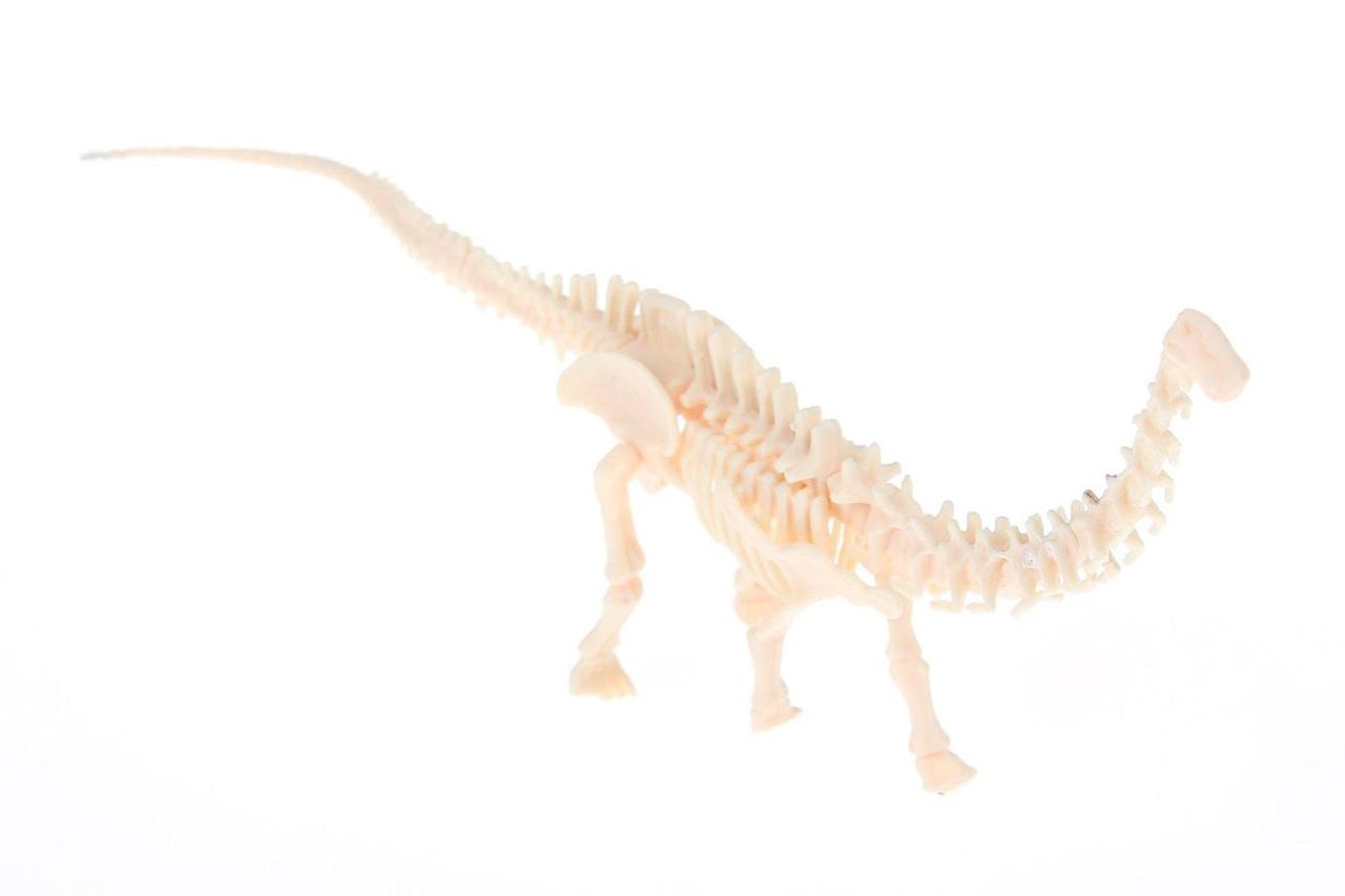 Набор для раскопок ЮНЫЙ АРХЕОЛОГ бронтозавр - фото 3 - id-p169867310