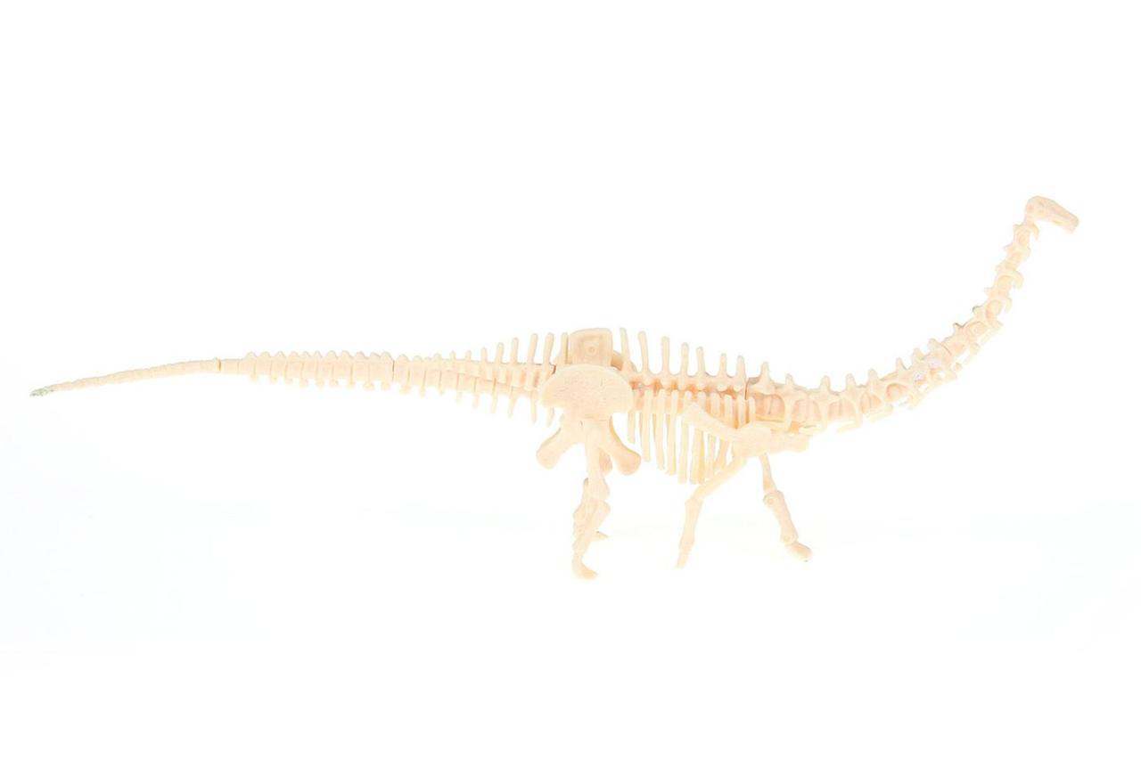 Набор для раскопок ЮНЫЙ АРХЕОЛОГ бронтозавр - фото 4 - id-p169867310