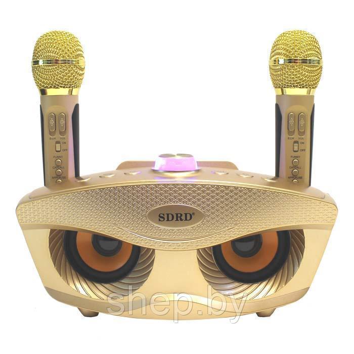Беспроводная семейная Караоке система SDRD SD-306 с двумя микрофонами цвет : золотой - фото 1 - id-p169884855