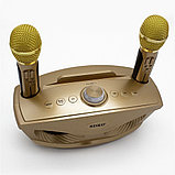 Беспроводная семейная Караоке система SDRD SD-306 с двумя микрофонами цвет : золотой, фото 3