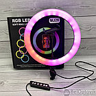 Разноцветная кольцевая RGB RL-13 лампа с МУЛЬТИ-режимами 32 см  Штатив 216 см, фото 7