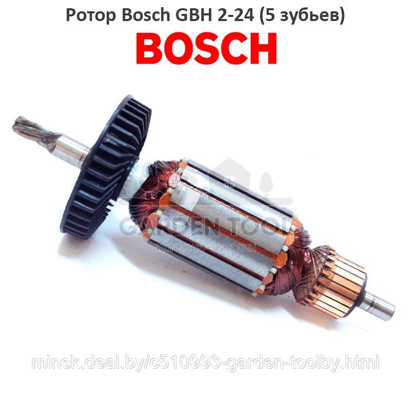 Ротор (якорь) для перфоратора Bosch GBH 2-24 (5 зубьев), для китайского перфоратора - фото 1 - id-p169916233