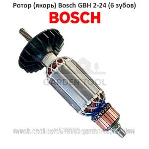 Ротор (якорь) для перфоратора Bosch GBH 2-24 6 зубьев