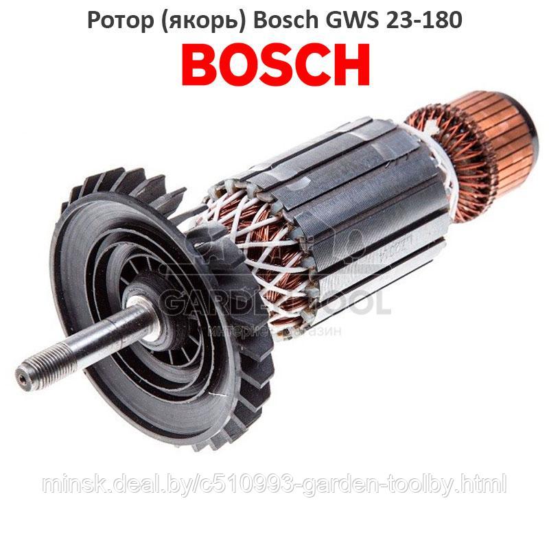 Ротор (якорь) на болгарку (УШМ) Bosch GWS 23-180, 23-230, 24-180, 24-230, 26-180, 26-230 - фото 1 - id-p169916239