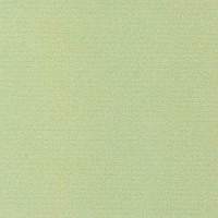Паспарту в индивидуальной упаковке 9х13 (13х18) (зеленый пастельный)