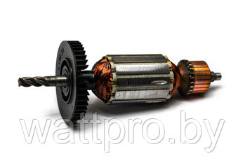 310007910 Якорь 230V