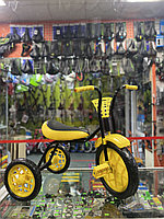 Трехколёсный велосипед Зубрёнок