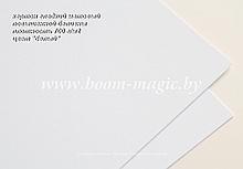 55-002 картон матовый гладкий, повыш. белизны, плотность 700 г/м2, цвет "белый", формат А4