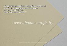 50-205 крафт-картон дизайнерский, цвет "слоновая кость", плотность 298 г/м2, формат А4