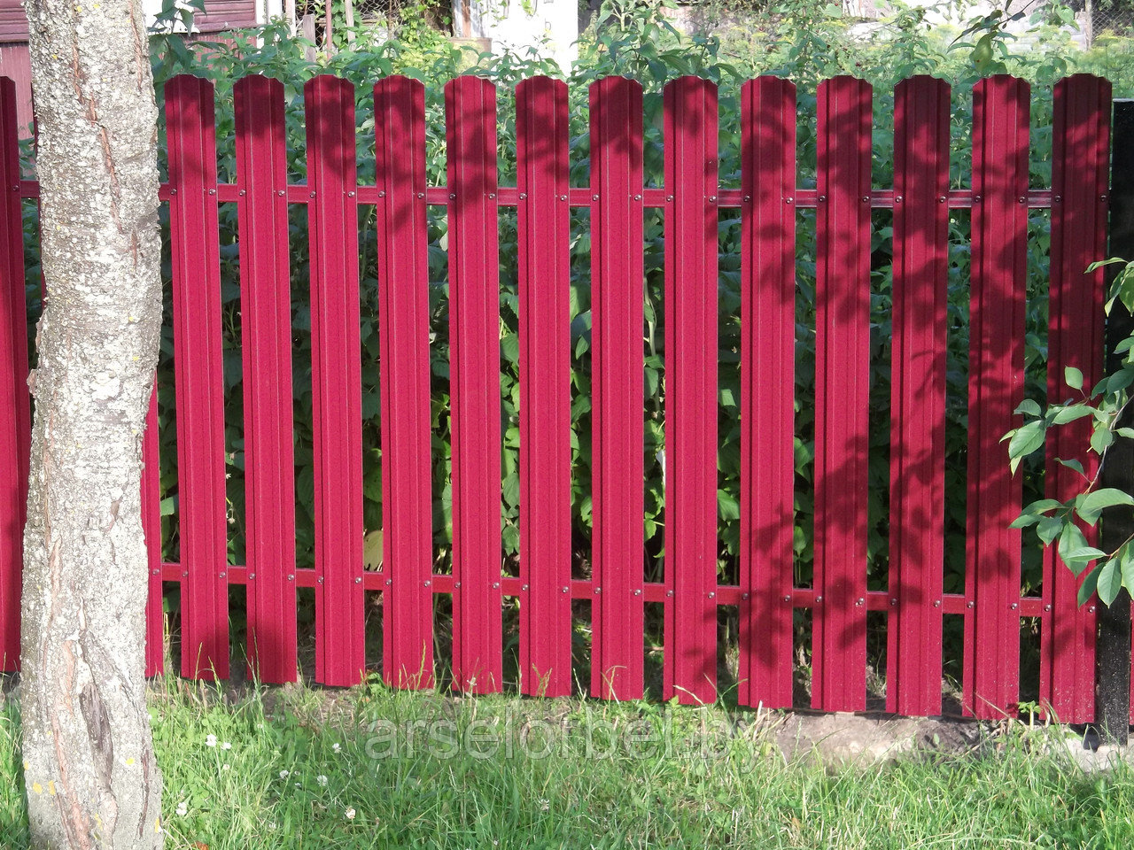 Забор для дачи , фото 1