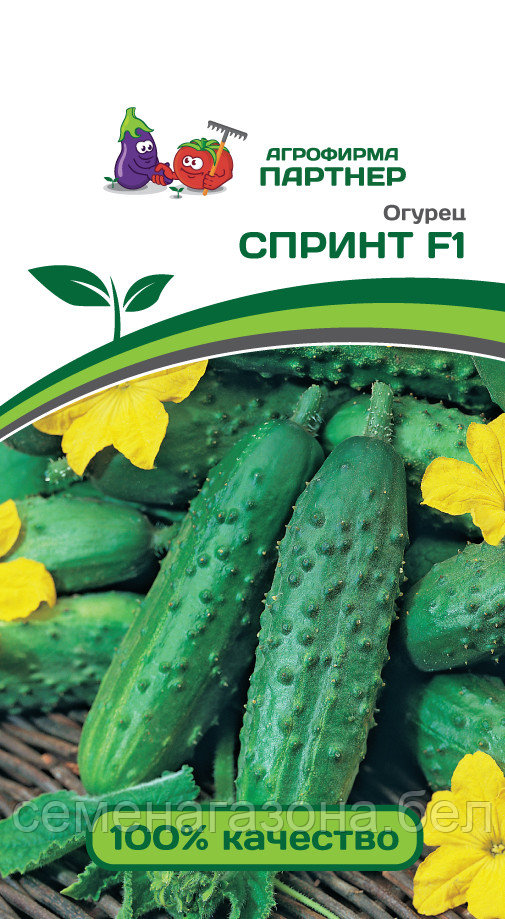 Огурец СПРИНТ F1 (0,5 г) (срок реализации семян до 31.12.2023)