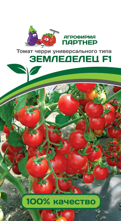 Томат черри ЗЕМЛЕДЕЛЕЦ F1 (0,1 г) 2-ной пак. - фото 1 - id-p113406814
