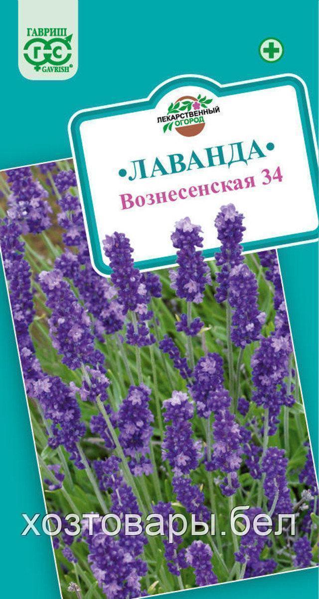 Лаванда Вознесенская 34 узколистная 0,05г (Гавриш)