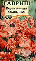 Кларкия Солнышко ноготковая 0,1г Одн 70см (Гавриш)