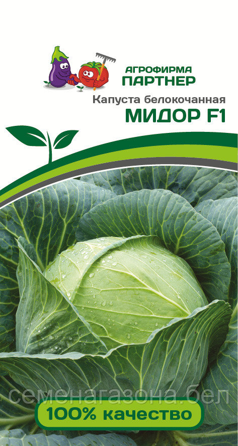 Капуста б/к МИДОР F1 (0,3 г) (срок реализации семян до 31.12.2023)