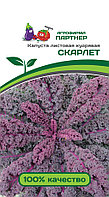 Капуста листовая кудрявая СКАРЛЕТ (0,3 г)