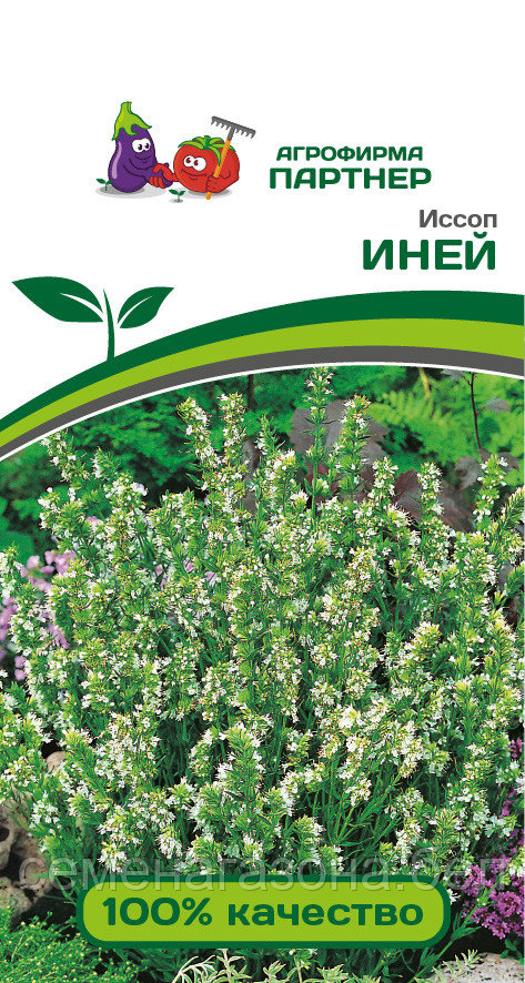 Иссоп ИНЕЙ (0,2 г) (срок действия семян до 31.12.2023)