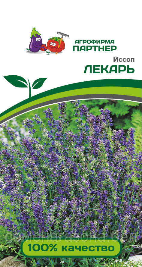 Иссоп ЛЕКАРЬ 0,5г (срок реализации семян до 31.12.2023)