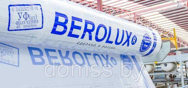 Сотовый поликарбонат 6мм прозрачный «BEROLUX» 1,05кг/м2, лист 2,1*6м - фото 2 - id-p170050342