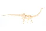 Набор для раскопок ЮНЫЙ АРХЕОЛОГ бронтозавр Bradex DE 0264, фото 3