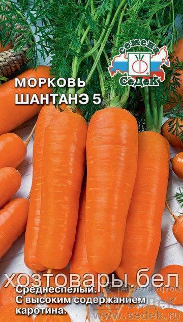 Морковь Шантанэ  №5 (Евро, 1) Седек