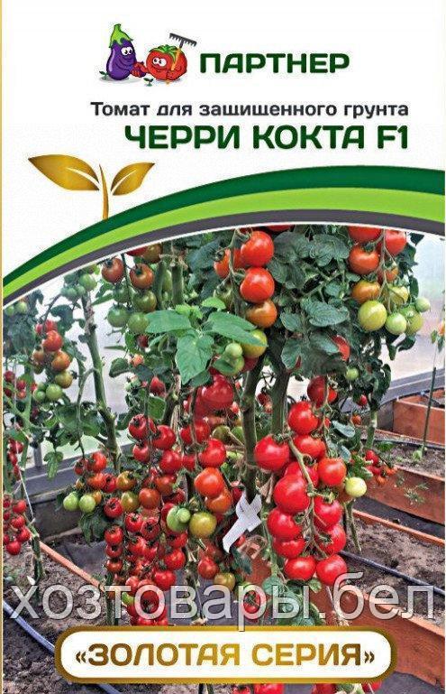 Томат Черри КОКТА F1 (5шт) 2-ной пак. (Партнер) - фото 1 - id-p114791142