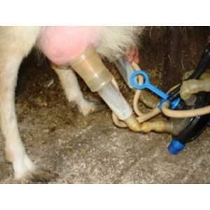 Агрегат доильный АД-02СК для коз, кобылиц, лосих, верблюдиц "Фермер" - фото 2 - id-p53038318