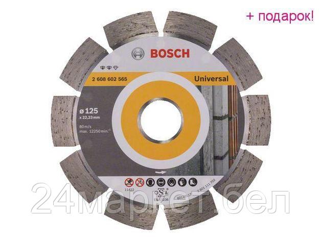 Алмазный круг 125х22 мм универс. сегмент. EXPERT FOR UNIVERSAL BOSCH (сухая резка), фото 2