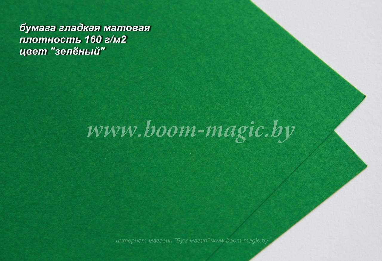 36-019 бумага матовая гладкая цвет "зелёный", плотность 160 г/м2, формат А4 - фото 1 - id-p170203834