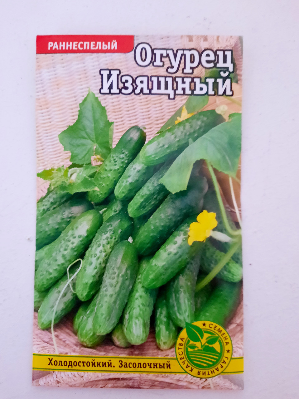 Семена Огурцов Изящный Купить