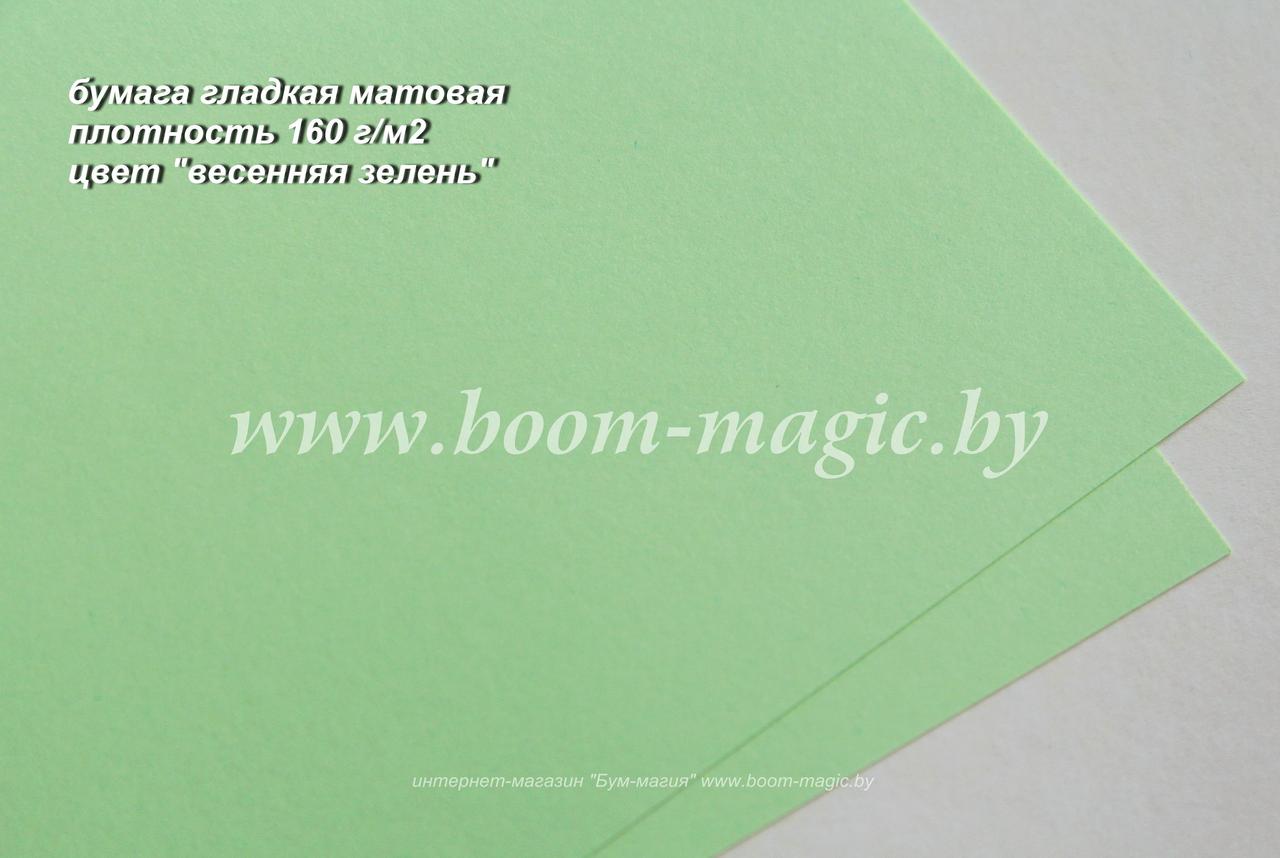 36-026 бумага матовая гладкая цвет "весенняя зелень", плотность 160 г/м2, формат А4 - фото 1 - id-p170235378