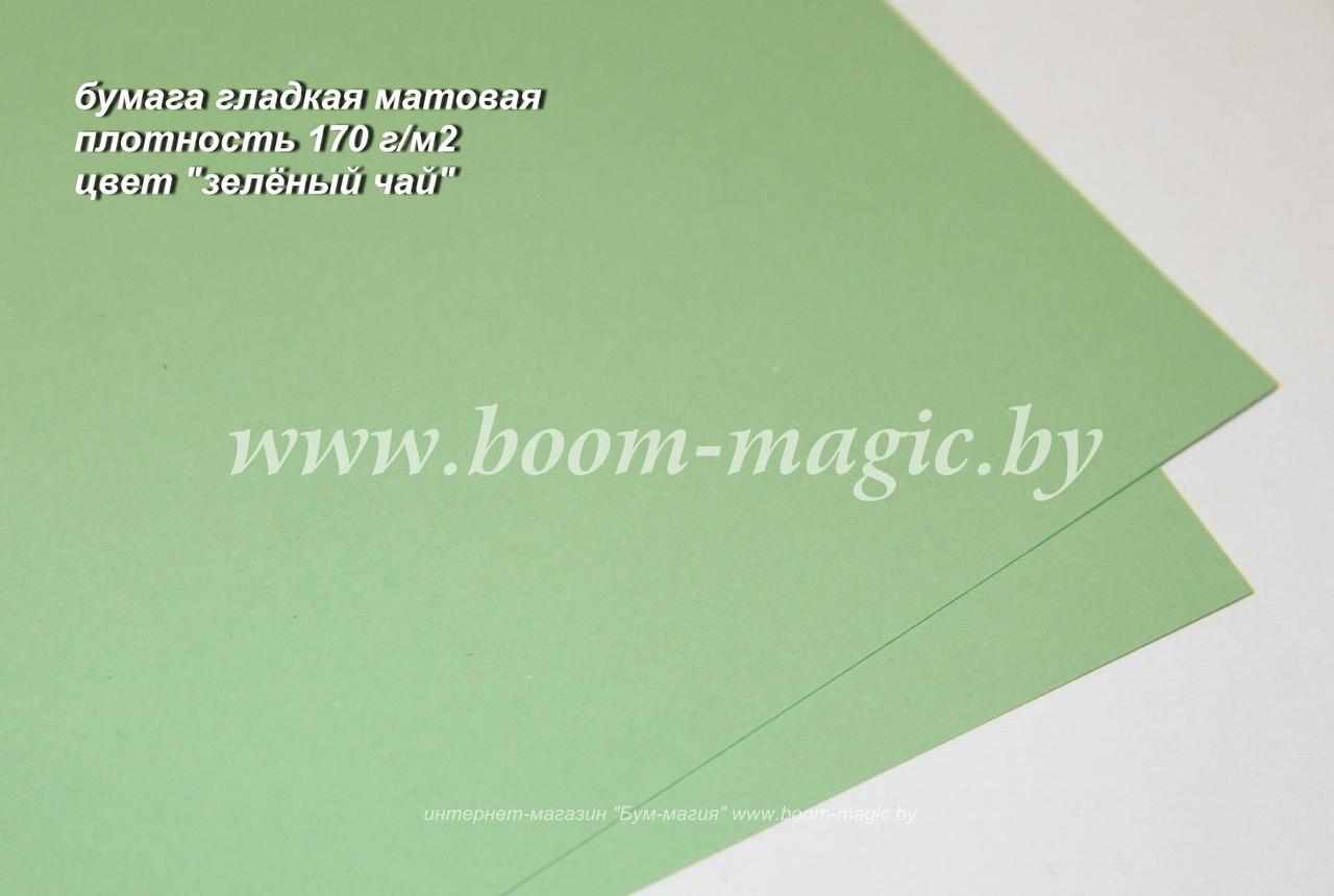 36-032 бумага матовая гладкая цвет "зелёный чай", плотность 170 г/м2, формат А4