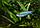 ZooAqua Тетра Голубая Бэлка 3,0-3,5 см, фото 3
