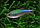 ZooAqua Тетра Голубая Бэлка 3,0-3,5 см, фото 6