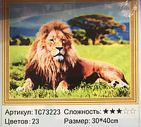 Алмазная мозаика "Лев в Саванне", 30*40, на подрамнике