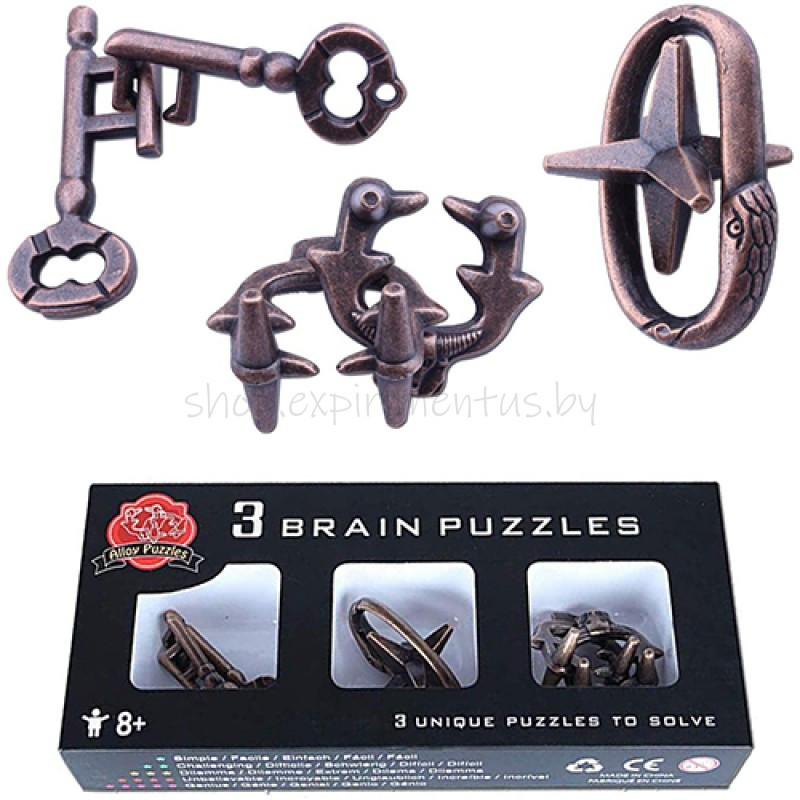 Набор металлических головоломок 3 Brain Puzzles - фото 2 - id-p170315730