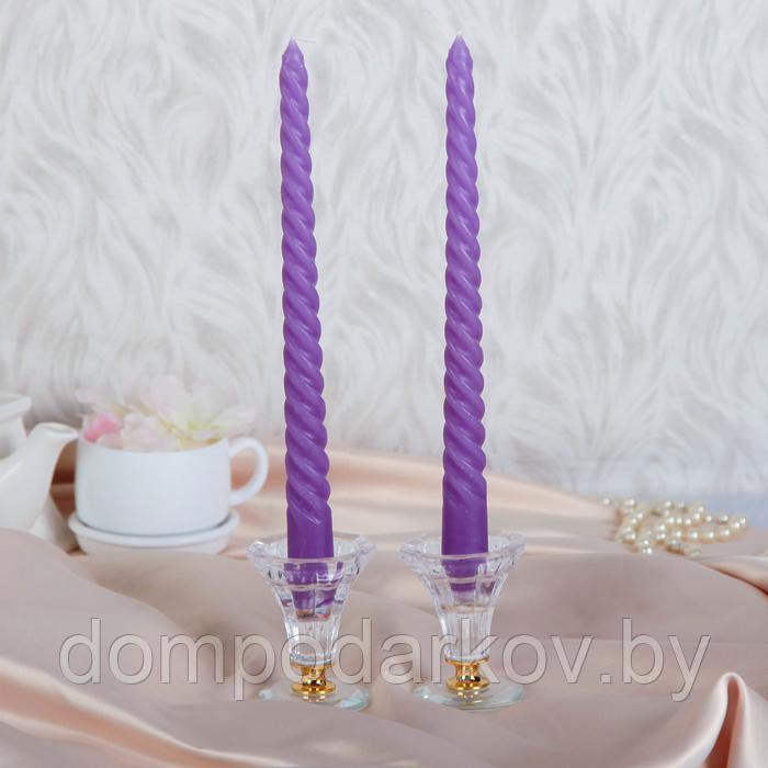 Набор свечей витых, 2,5х 25 см, 2 штуки, фиолетовый, подвес - фото 1 - id-p170317240