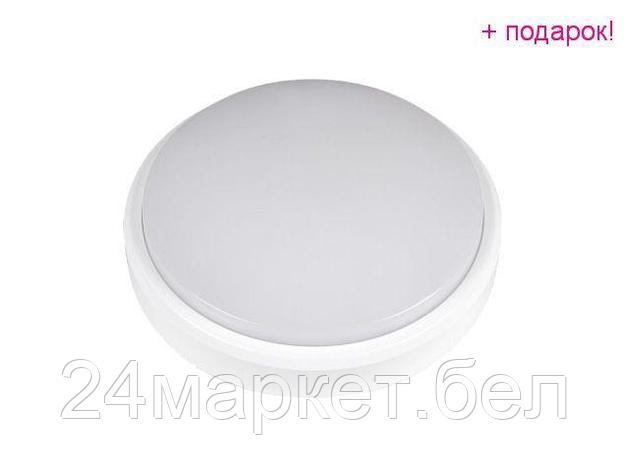 Светильник светодиодный накладной 12 Вт PBH - PC2-RS 4000К, IP65, 180-265В, с драйвером JAZZWAY (900Лм,, фото 2